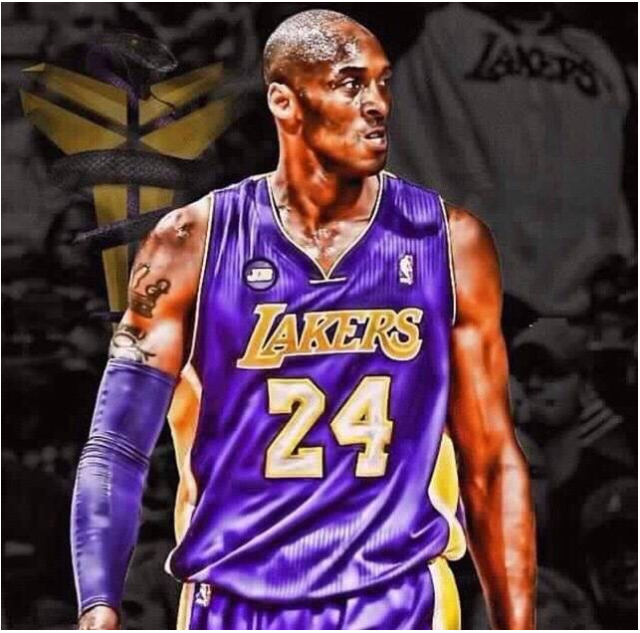 数据显示 数据显示