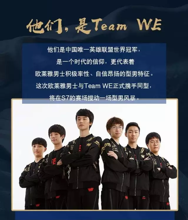 12只小鸟 12只小鸟